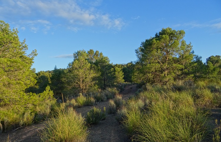 Fotos de la ruta